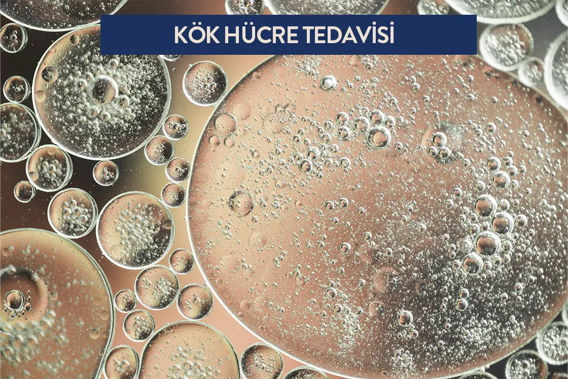 Kök hücre nedir?